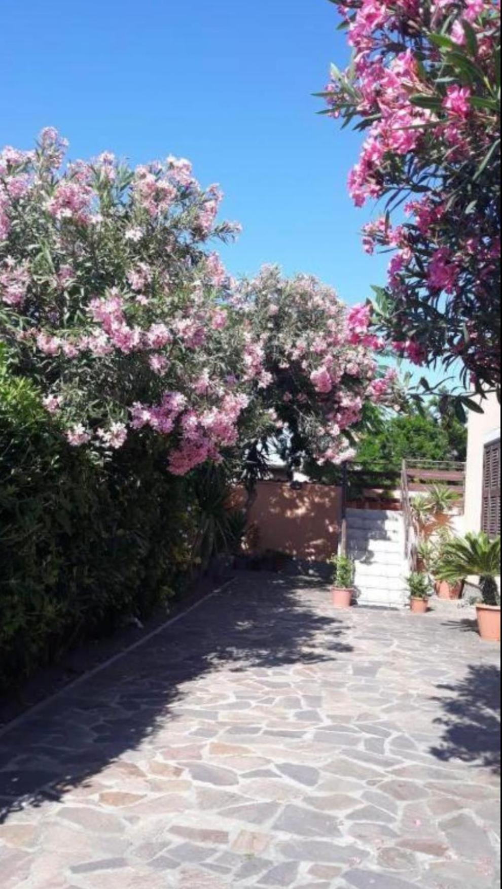Giorgia Airport 2 Fiumicino Bed & Breakfast Exterior foto